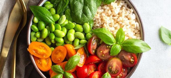 May contain: examples of dishes served in the Salad House restaurant, interior or exterior of Salad House restaurant